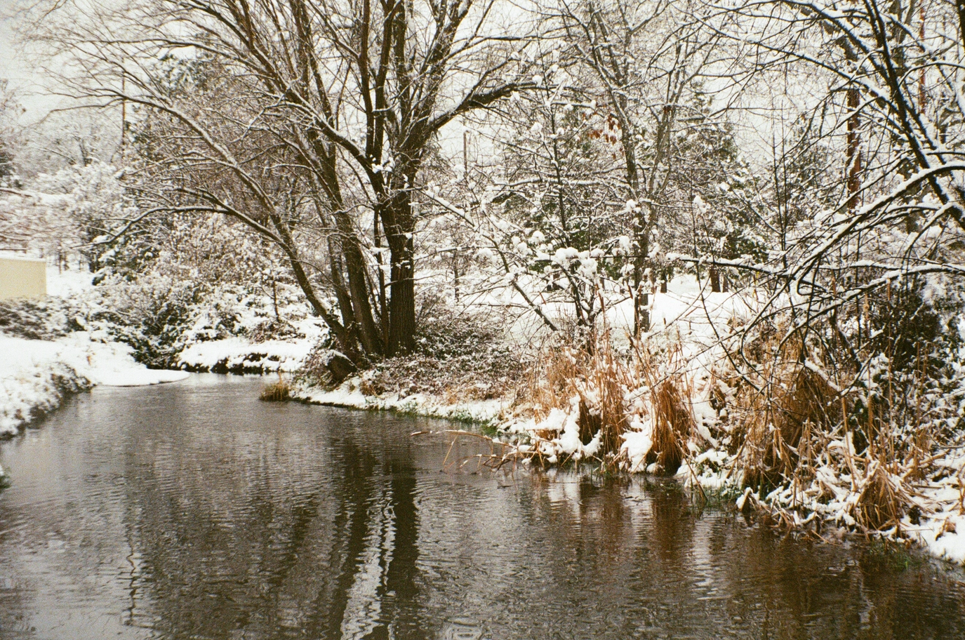 A photo of a river reflection snowy trees