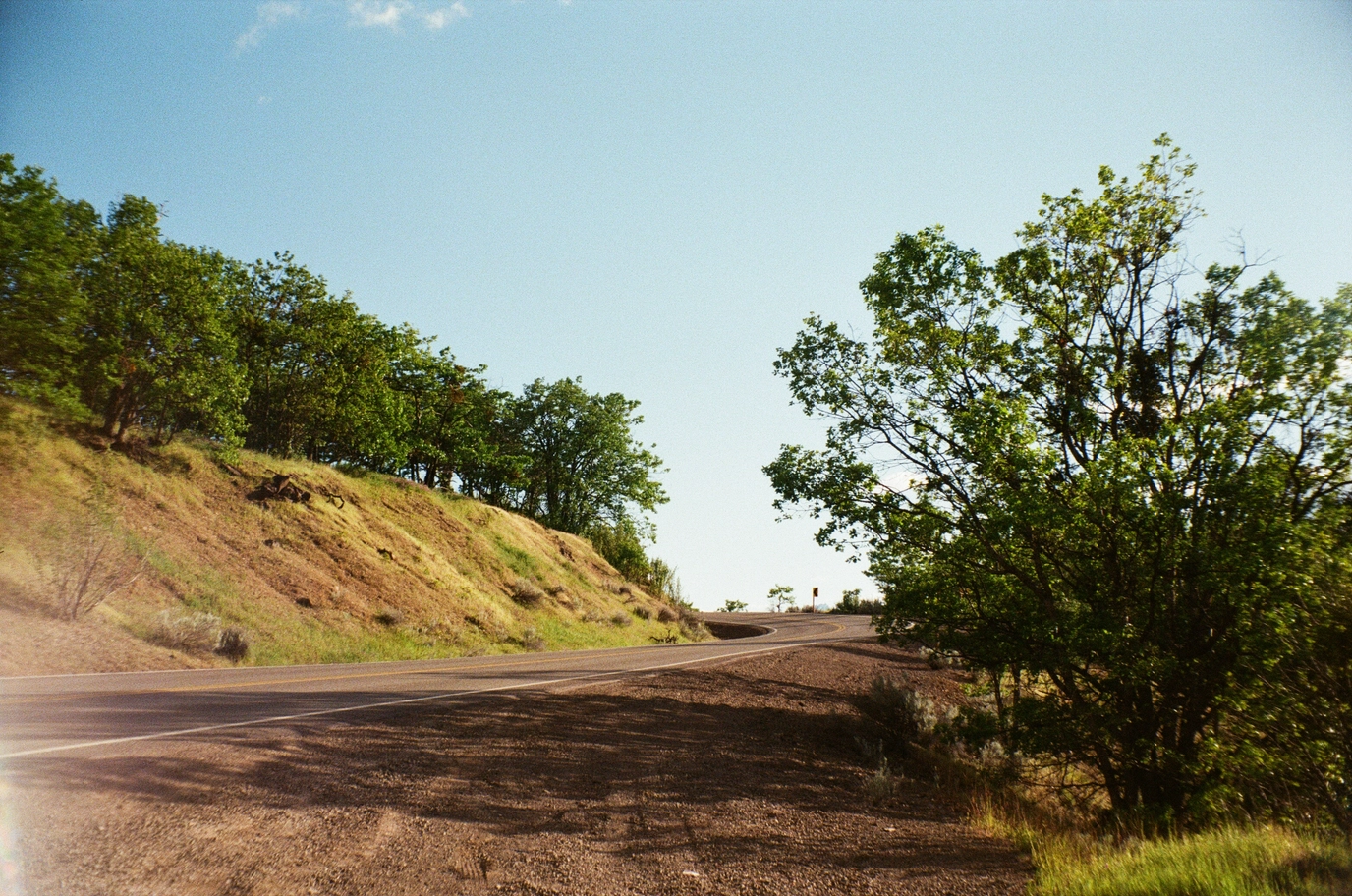 A photo of a mountainside road and trees
