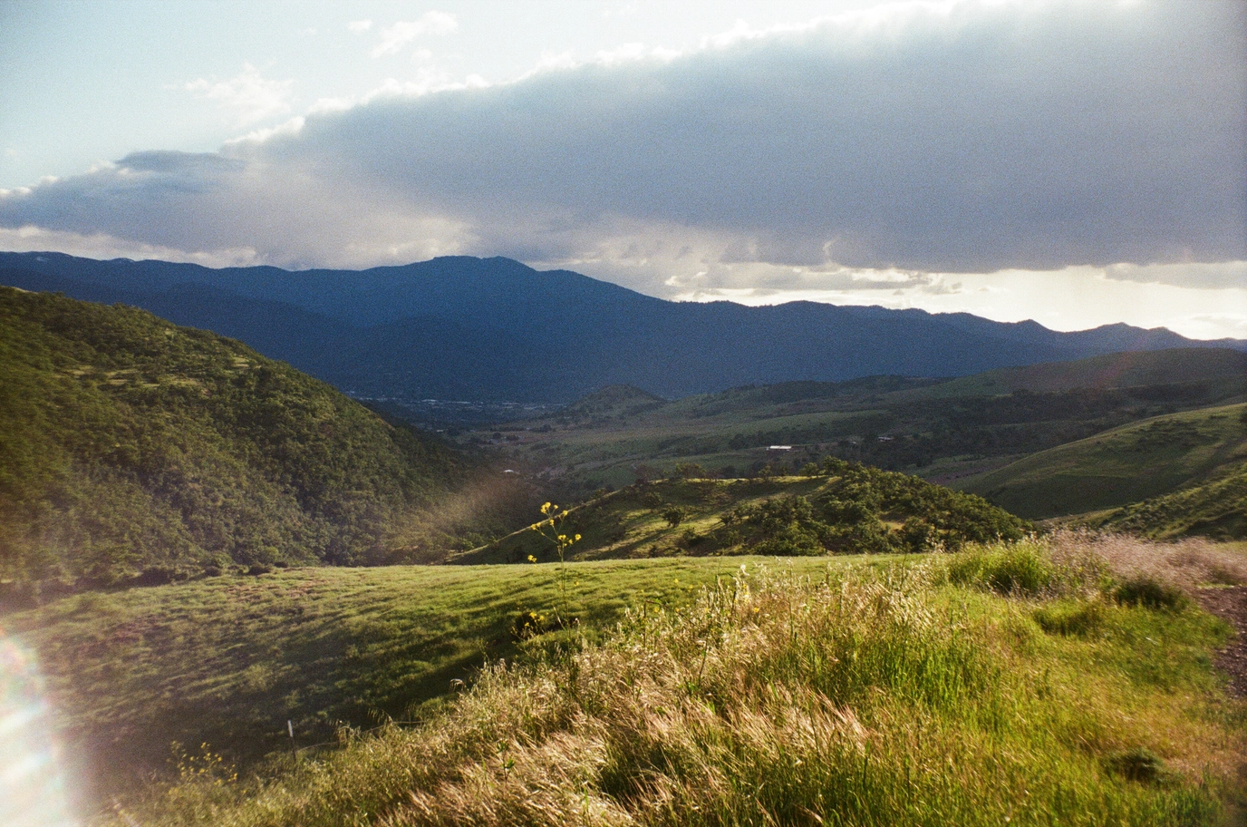 A photo of a lushous green rogue valley