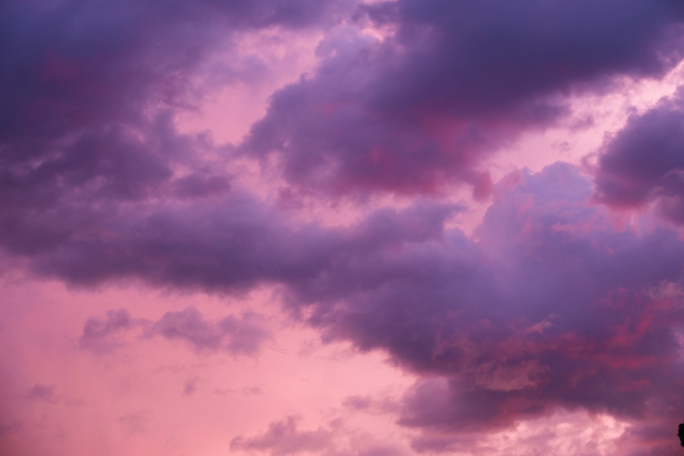 A photo of beautiful pink clouds