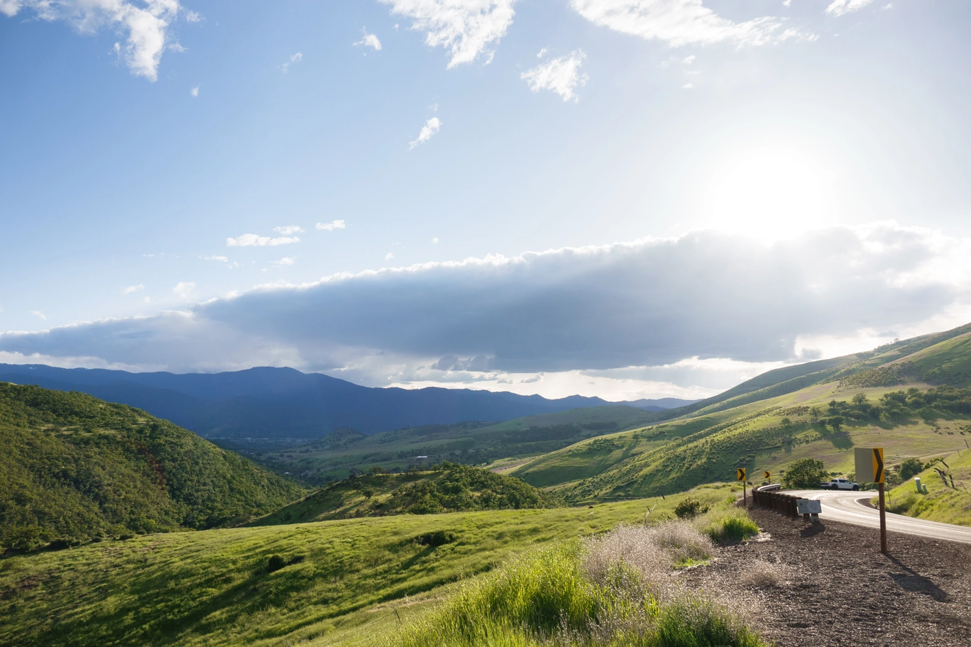 A photo of a lushous green rogue valley