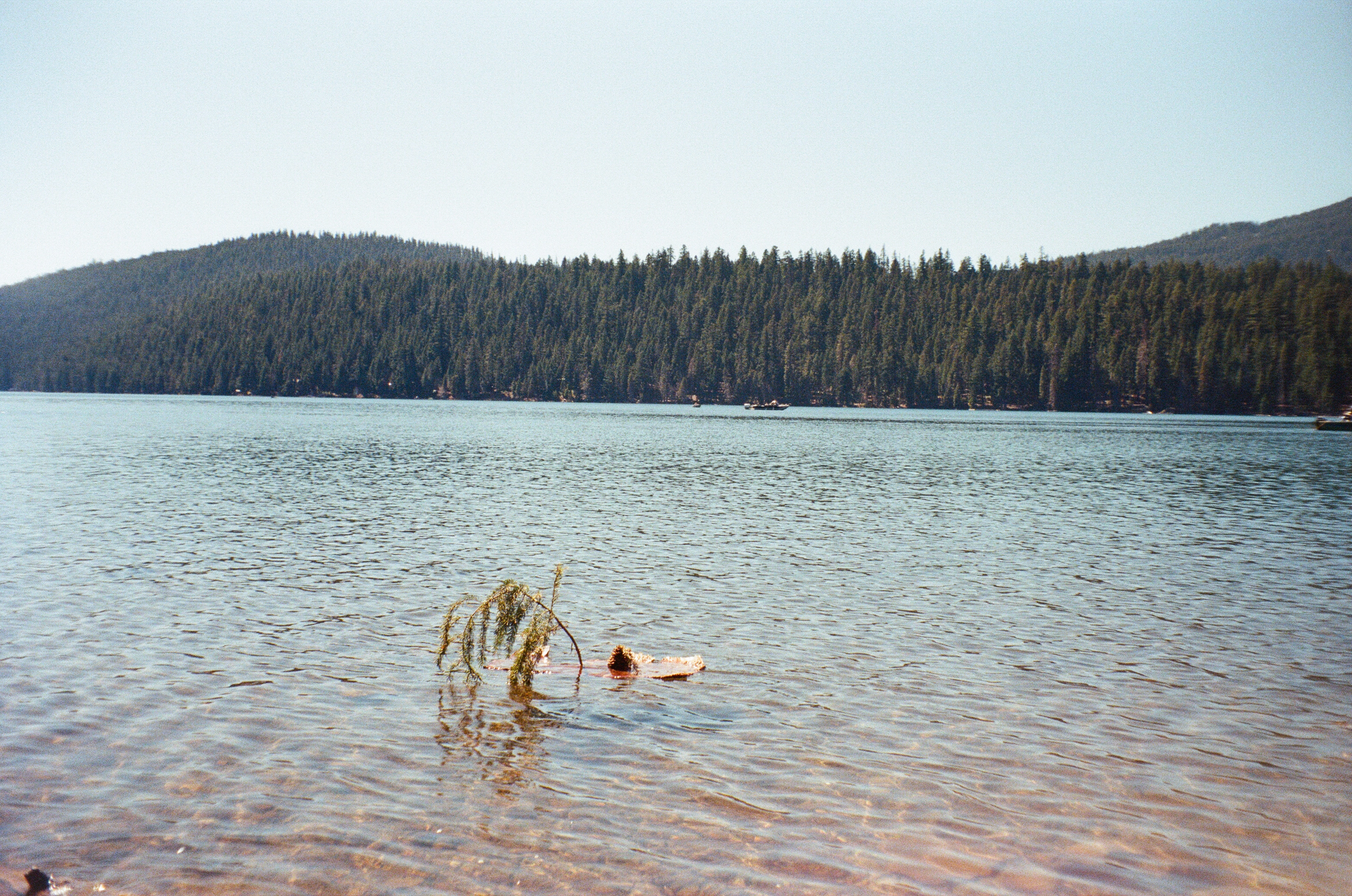 A photo of branch thing sailing on a lake