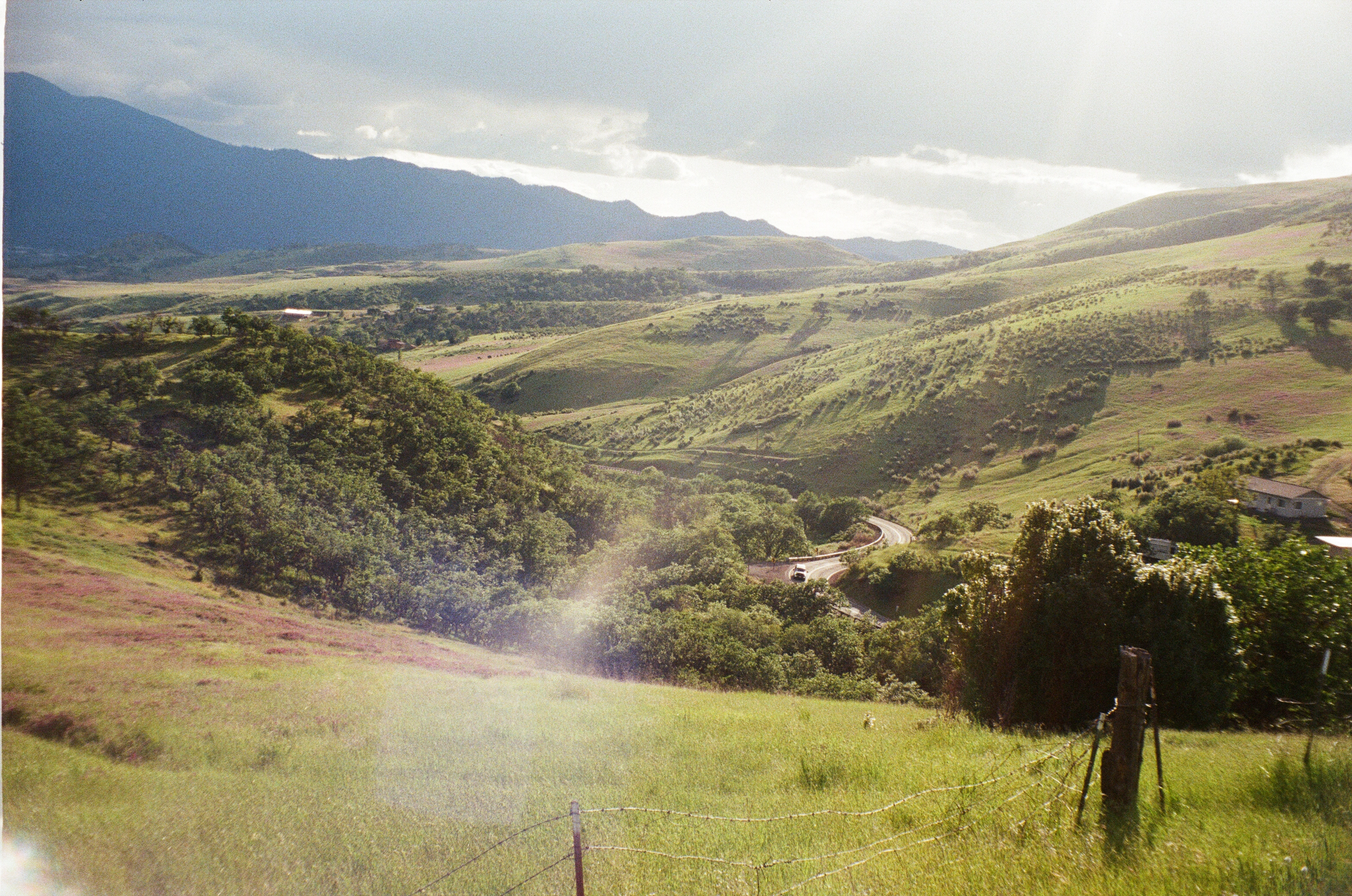 A photo of a lushous green rogue valley