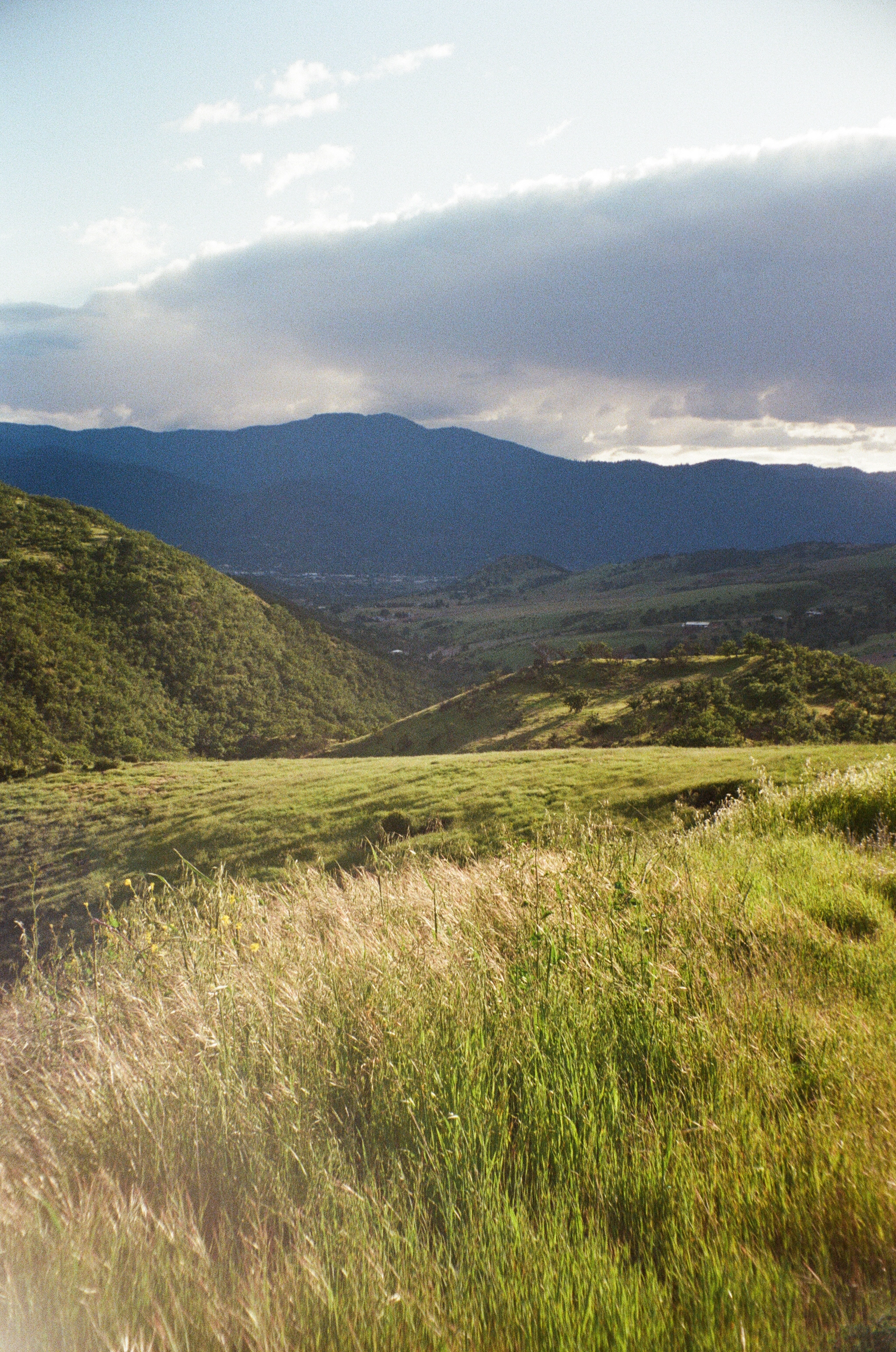 A photo of a lushous green rogue valley