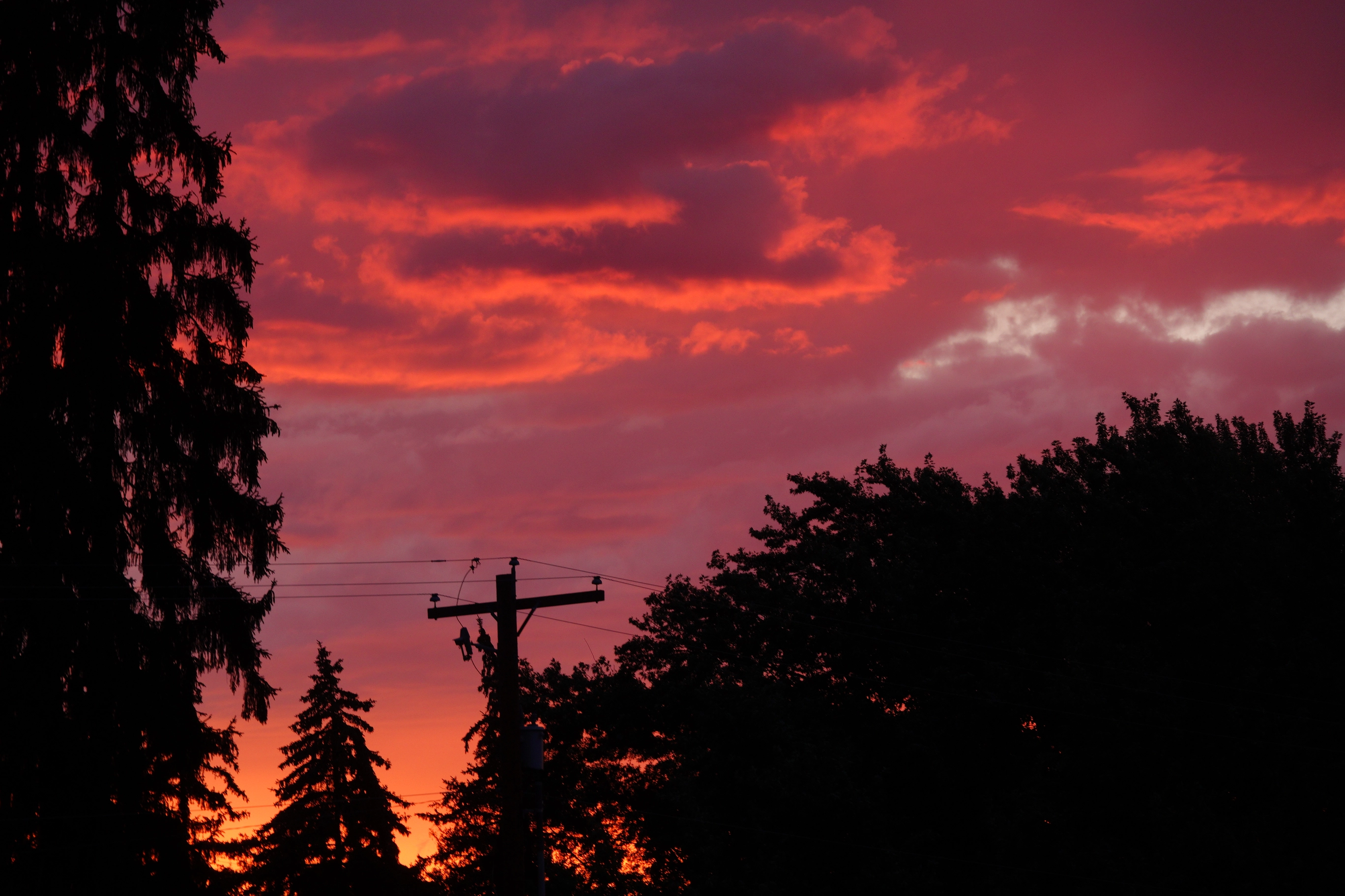 A photo of power lines and trees against an orange sky
